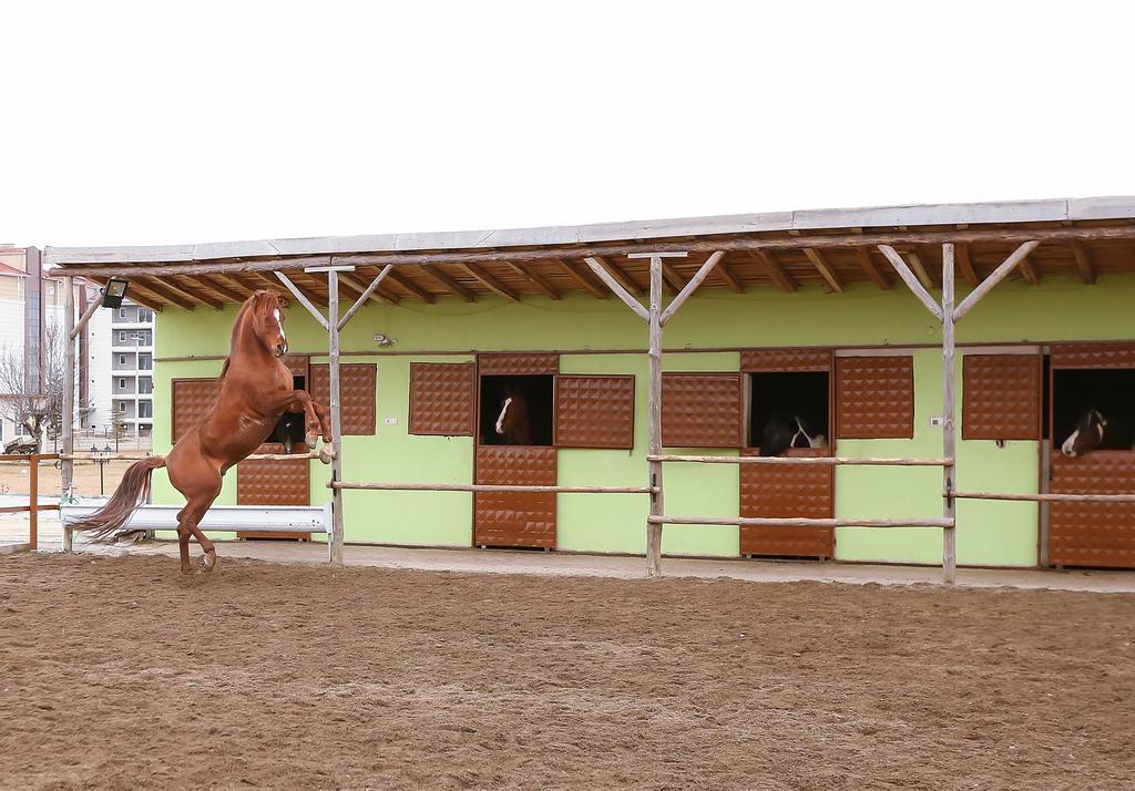 Afyon Can Termal Apart Afyonkarahisar Zewnętrze zdjęcie